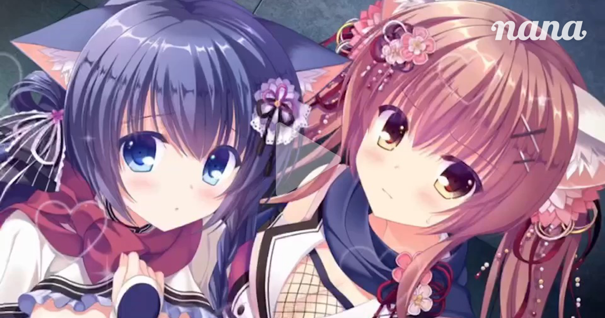 NANA猫ページ nana on Twitter