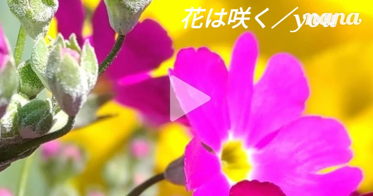 花は咲く | 花は咲くプロジェクト