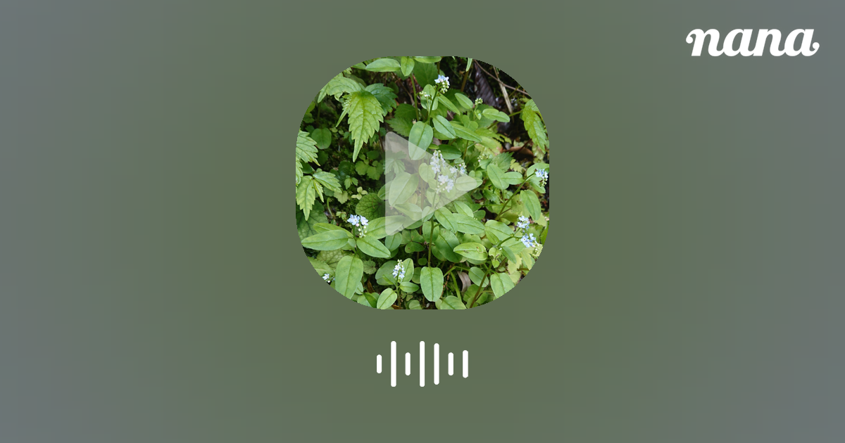 何食わぬ顔してるならず者 | 漢 a.k.a.GAMI